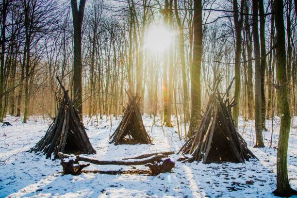 istock Magic forest during  winter with falling snow sunny day. Snow forest snowfall. Christmas Winter New Year background magnificent scenery.