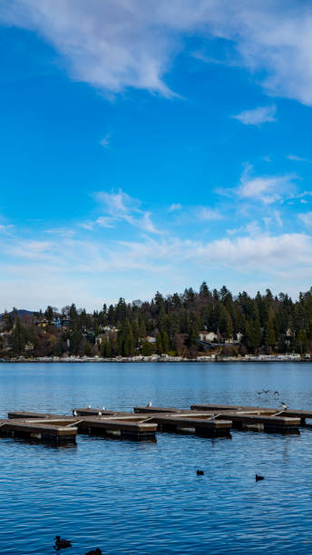 istock Floating boat dock on the lake 1297650216