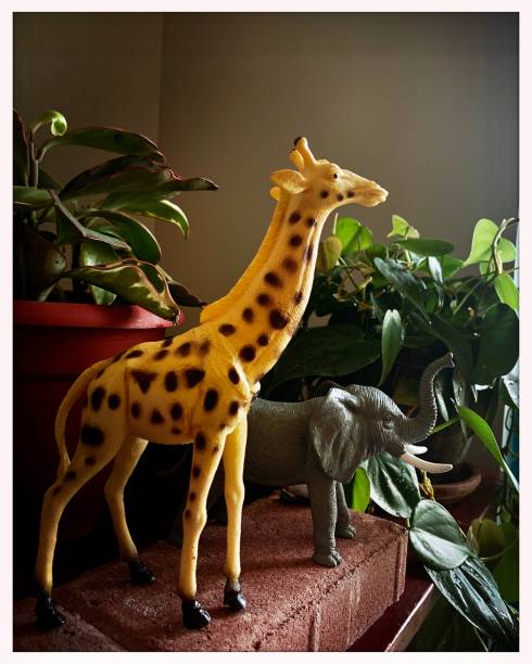istock Toy Wild Animal Friends 1297652219