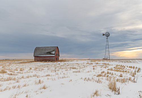 Abandoned homestead on the prairie near Blackie, Alberta, Canada
