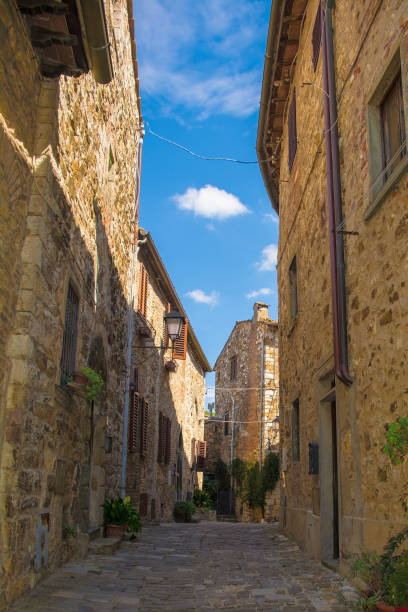 istock Street in Montefioralle, Tuscany 1297652327