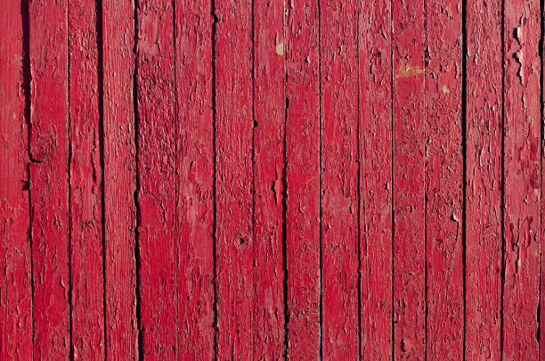 istock A fence made of wooden boards. Tree structure. Old peeling paint. 1297653717