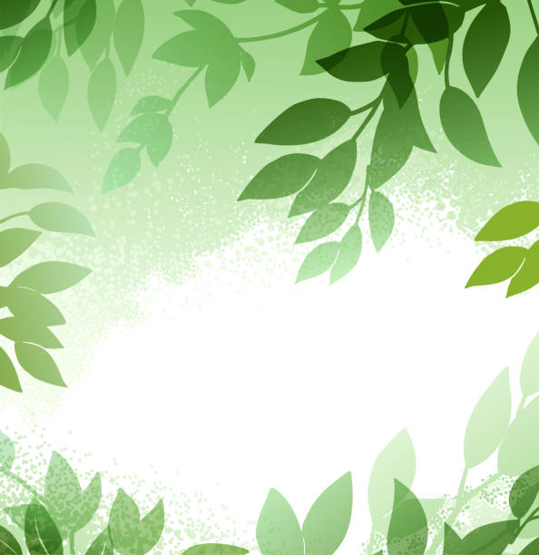 зеленые листья весна вектор фон - beauty in nature blue bush color image stock illustrations
