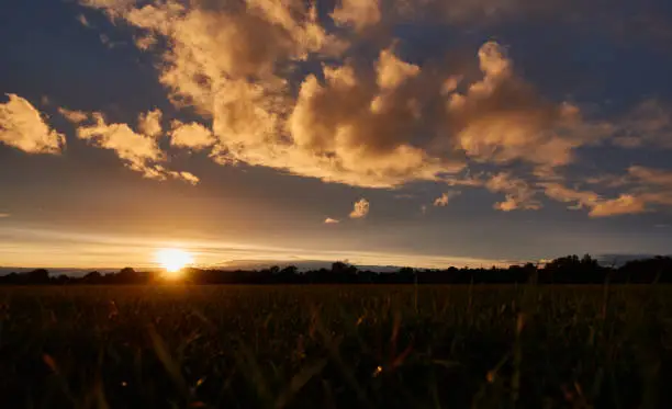 Beautiful sunset in the evening, gray clouds against a deep blue sky, meadow as a silhouette, depth of field. Germany, Ostfildern.