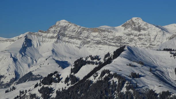 слойная скала горы дент-де-рут, швейцария. - wildstrubel стоковые фото и изображения