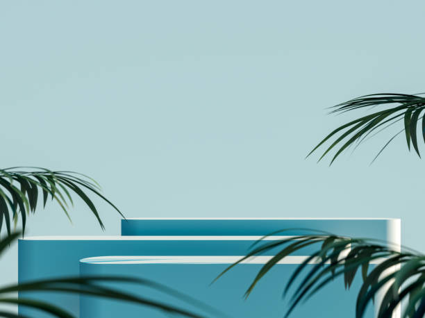 espace vide bleu de maquette avec les plates-formes multiples et la décoration verte de feuille de palmier - beautiful green arrangement nature photos et images de collection