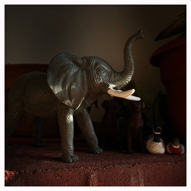 istock Plastic Toy Elephant in Plant Jungle 1297655887