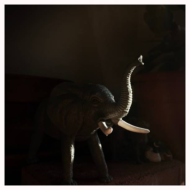 istock Plastic Toy Elephant in Plant Jungle 1297655888