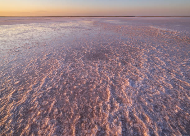 istock Sunset Genichesk pink  salty lake, Ukraine 1297655939