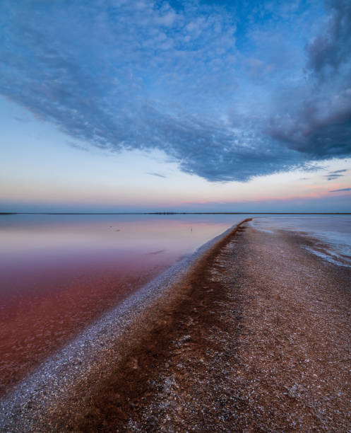 istock Sunset Genichesk pink  salty lake, Ukraine 1297657567