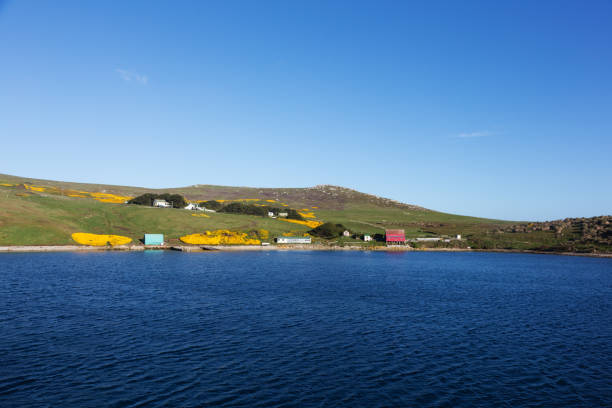 istock Falkland Islands coastline 1297658295