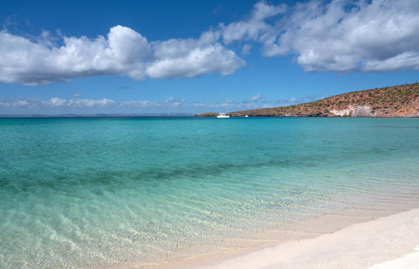 istock Port north of La Paz 1297659694