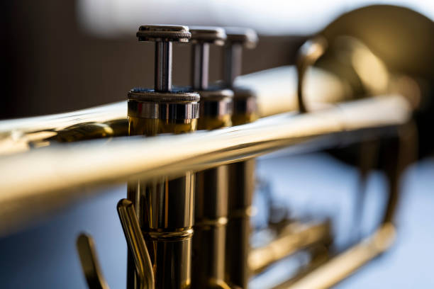 istock Close up on a Trumpets valves 1297660309