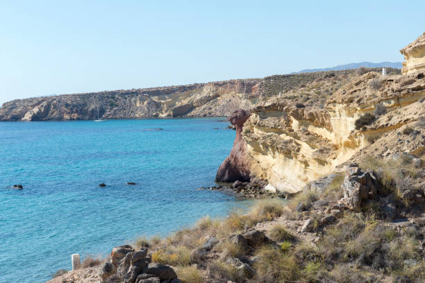 istock National park Mazarron, Spain. 1297661048