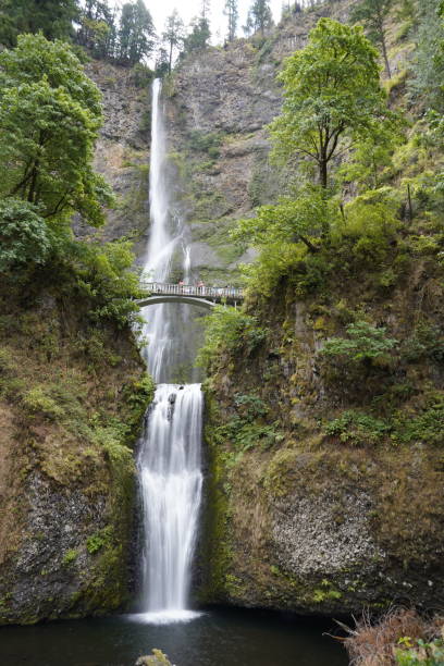 istock Long shot of waterfall at Multnomah Falls 1297665121