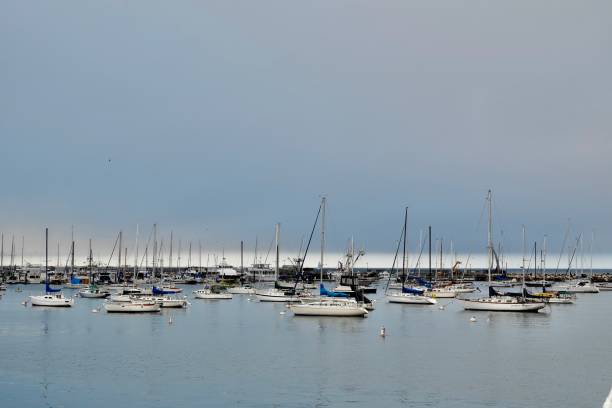 istock Boats in the marina 1297665151