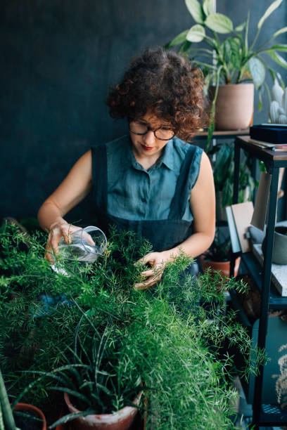istock Woman Watering Plants at Home 1297665316