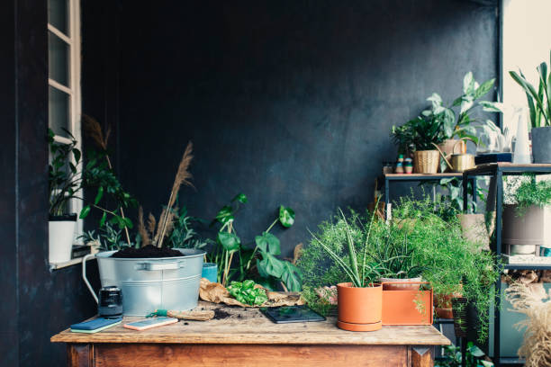 istock Gardener's Workspace: a Centrally Placed Table Surrounded with Plants and Gardening Tools 1297665328