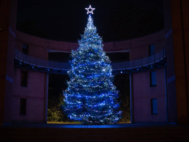 istock Christmas tree outside with blue lightning and star on top. 1297666748