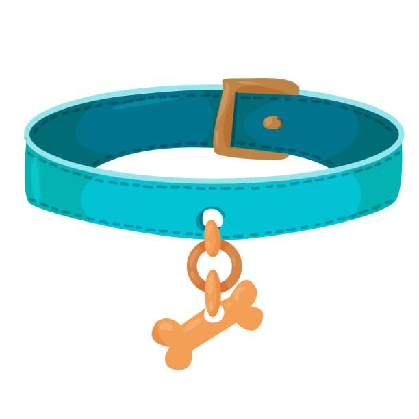 istock A beautiful blue collar for a dog or cat. buckle strap with gold bone. Accessories for pets. An element from a set of doodles drawn by hand. Isolated illustration on a white background. 1297668075