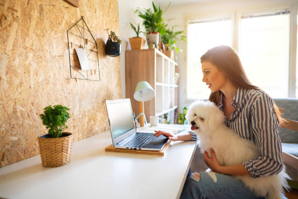 istock Young woman using laptop while holding her cute dog 1297669197