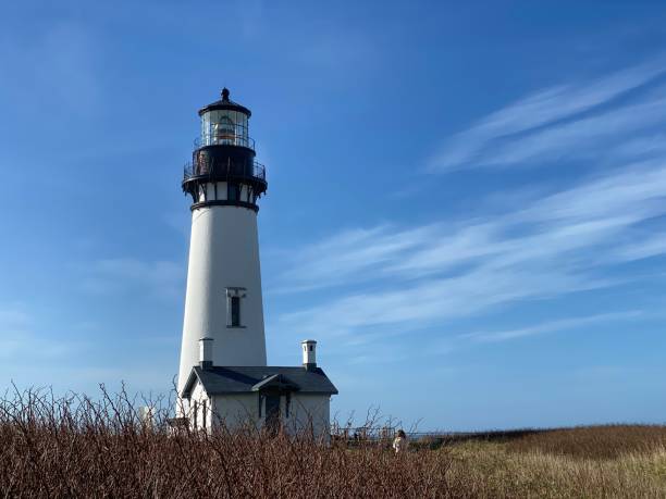 istock Lighthouse and a field in the foreground 1297669213