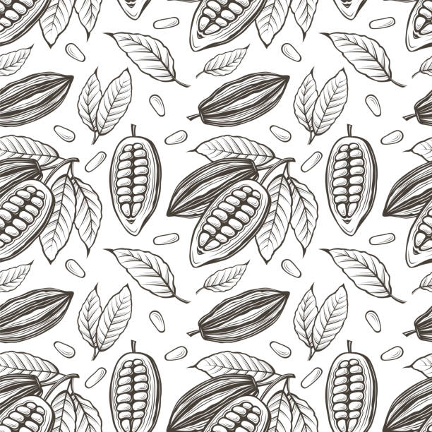 cocoa seamless pattern seamless pattern of cocoa beans, branch and leaves on white background cacao fruit stock illustrations