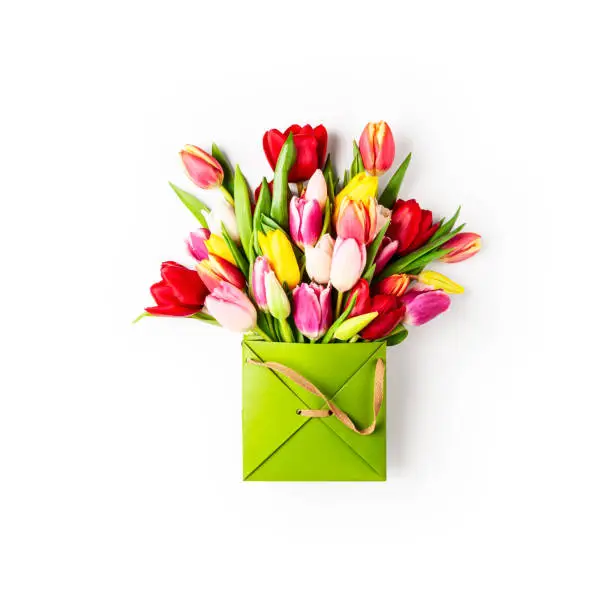 Tulip spring flowers in green bag isolated on white background. Floral composition with beautiful fresh tulips. Holiday present concept. Flat lay, copy space, design element