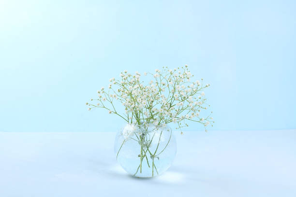 istock Abstract flower composition, still life, spring banner, minimal holiday concept. Postcard for women's day, mother's day, happy birthday, valentine's day, wedding, selective focus, gift for loved ones, 1297671565