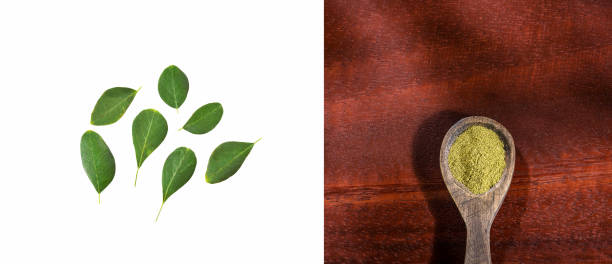 Moringa powder with fresh leaves - Moringa oleifera Moringa oleifera in leaves and powder - Plant with multiple properties moringa leaves stock pictures, royalty-free photos & images