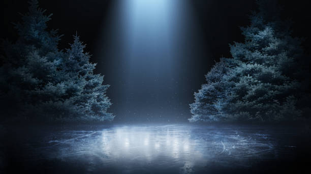 Spruces in rink. Empty beautiful winter background. Light illuminating ice. Spruces and ice in black background. Scene