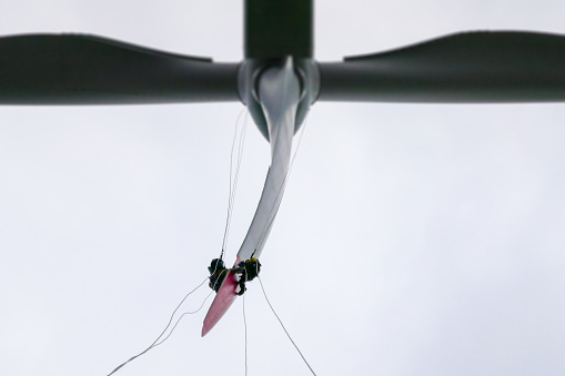 View from bottom on wind-turbine and two rope access technicians rappelling down hub on blade on the ropes, doing inspection