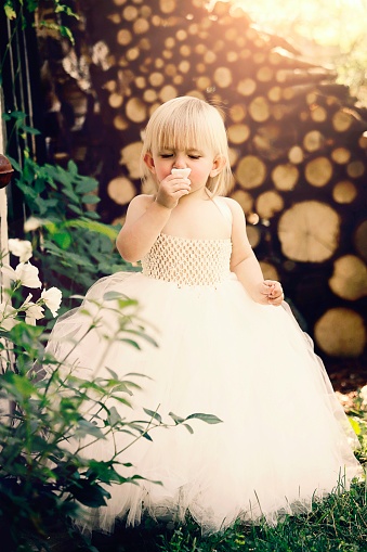 A beautiful baby girl, sixteen months old, dressed in a fancy gown, smells a rose petal. Shot with a Canon 5D Mark iv.