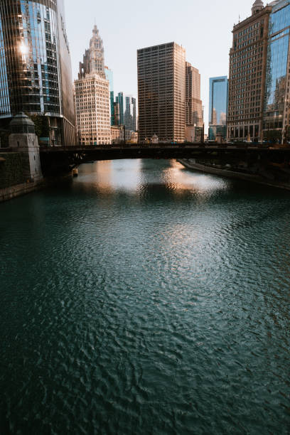 The morning sun shines on the skyline of downtown Chicago, Illinois, USA, an assortment of buildings old and new lit by the dawn.