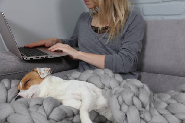 istock Communication and Connection during Coronavirus Self-isolation. Woman using online technology to keep in touch with Friends and Family. 1297679047