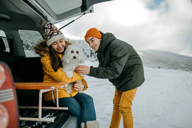 istock Teenagers preparing for sledding in the snow 1297680237