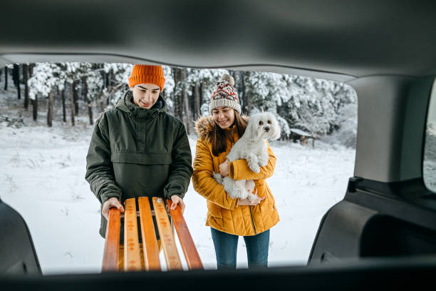 istock Teenagers preparing for sledding in the snow 1297680789