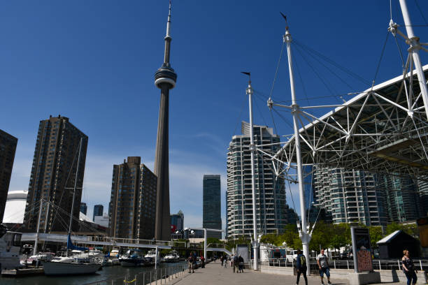 harbourfront centre e cn tower a toronto, canada, in estate - urban scene canada city horizontal foto e immagini stock