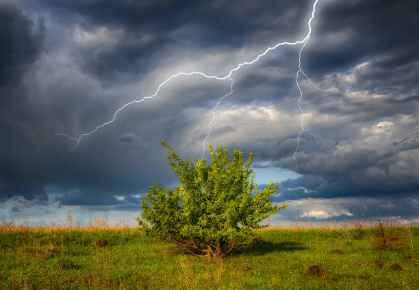 standing on the edge of the Okavango River in Botswana and Angola on the other side, I witnessed a storm approaching. Sun shining and dark clouds arriving, what a dramatic scene.