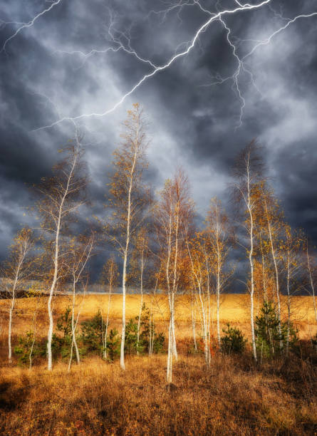 lightning over the meadow. stormy sky over rural landscape