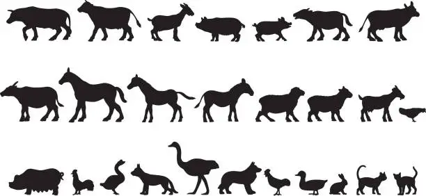 Vector illustration of Farm Animal Silhouettes