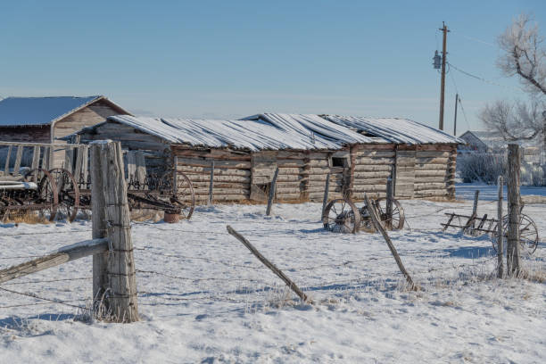 A garden shed built to look like a log cabin - winter snow scene