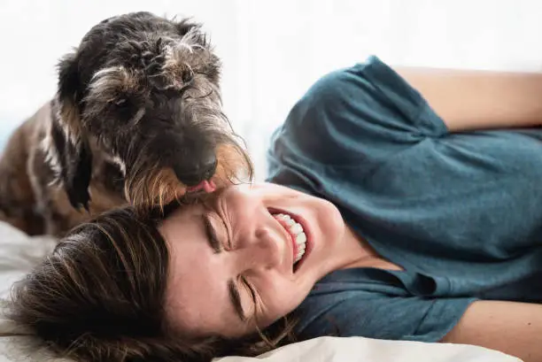 Photo of Happy woman playing with her dog inside home during lockdown isolation - Pet licking owner face - Focus on face