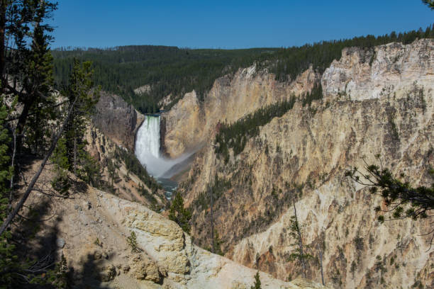 istock Lower Falls of the Yellowstone River 1297702499