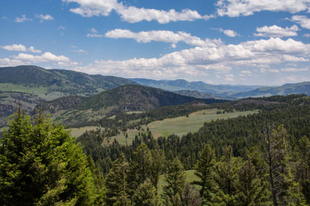 istock Vast wilderness in Yellowstone 1297702552