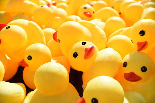 istock Many bright yellow rubber ducks floating in the pool 1297704282