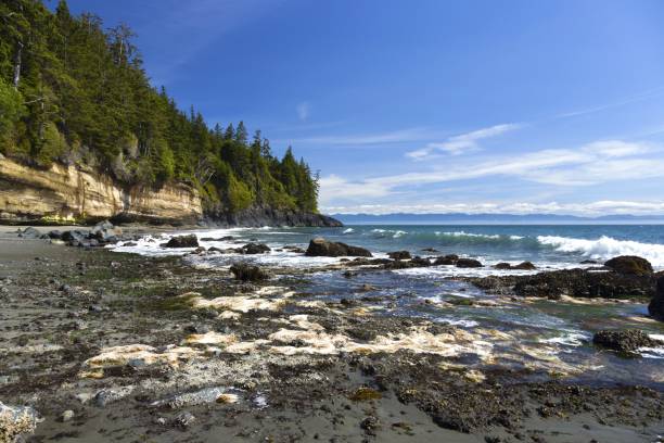 istock Mystic Beach, Vancouver Island, BC Canada 1297706494