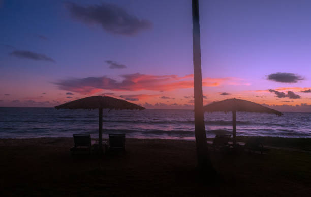 istock Sunrise in Porto de Galinhas beach 1297707136