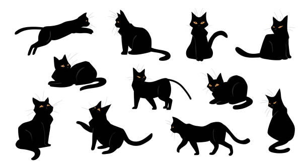 kucing. kartun anak kucing hitam duduk dan berjalan, berdiri atau melompat. pose kucing ceria. hewan peliharaan pendek berkembang biak dengan mata kuning. koleksi siluet hewan domestik, set vektor - kucing ilustrasi stok