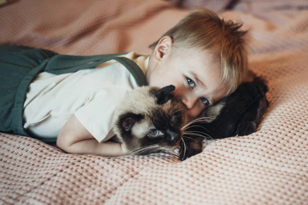 istock Little boy relaxing on the bed with cat. Child is hugging a cat. 1297714723